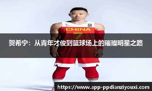 pp电子平台