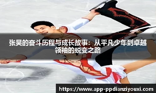 pp电子官网